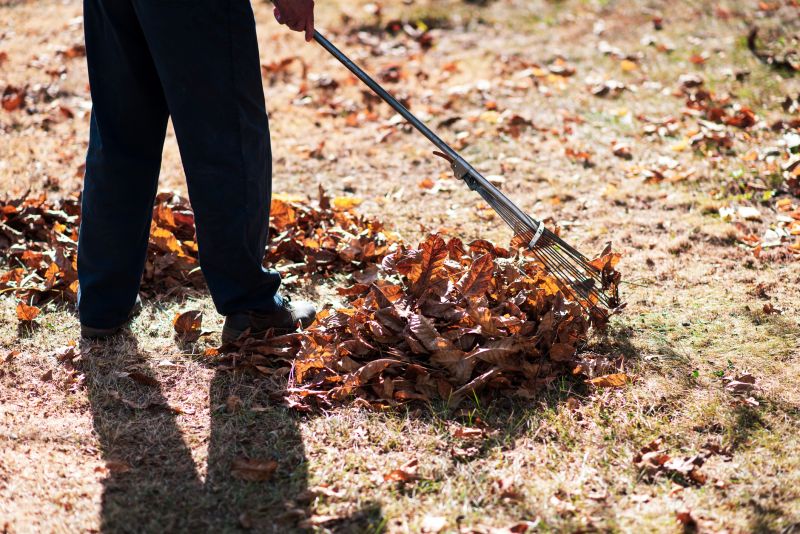 Leaf Raking in Progress