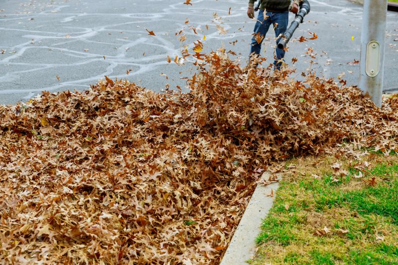 Leaf Blowing Technique