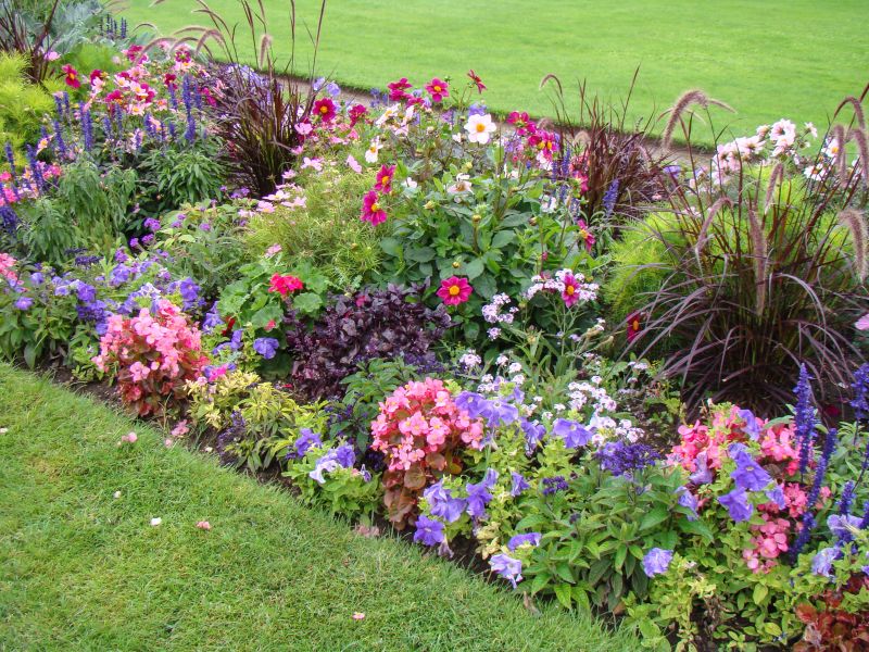 Flower Garden Care