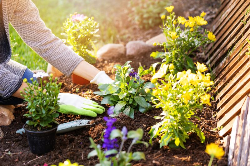 Flower Garden Care